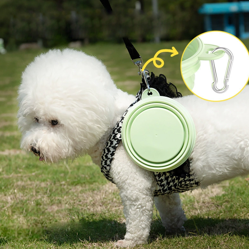 Color Pet Supplies Portable Fo - Wedding Water Supply 评论和价格