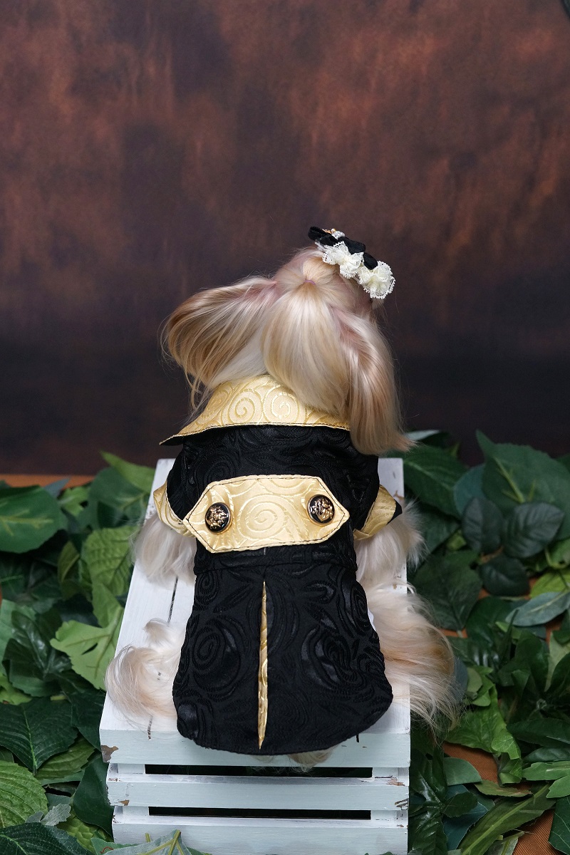 Handmade Dog Clothes Luxurious - Suitsupply Wedding Tuxedo 评论和价格